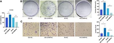 Establishment of a prognostic risk model for osteosarcoma and mechanistic investigation